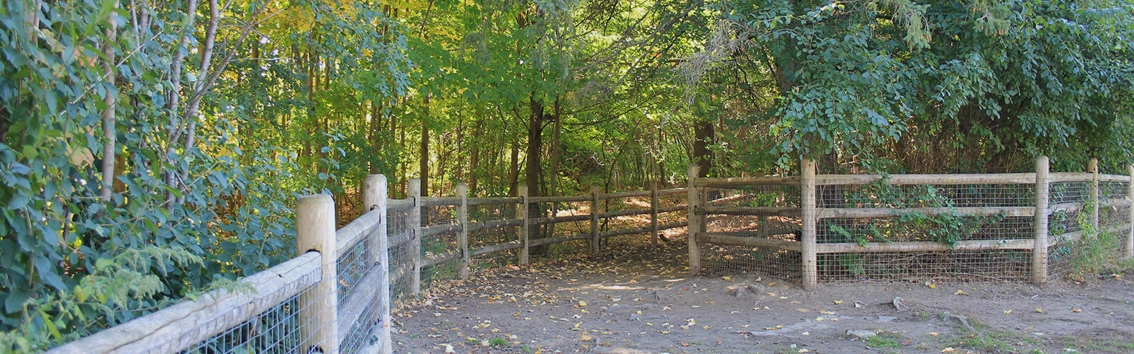 Wood and chain-link fence leading to a lush forested park trail.