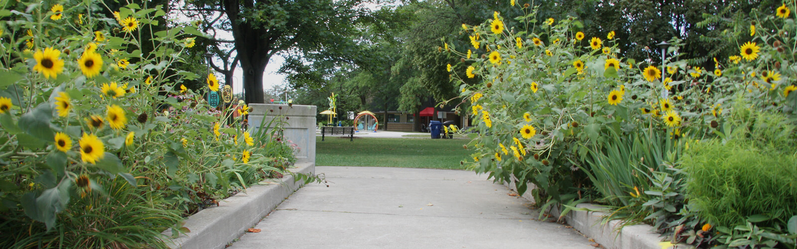 A paved path leads toward a maintained park lawn. On either side of the path, lush flower beds. Beyond the park lawn is a children's splashpad surrounded by lush trees and a park bench.
