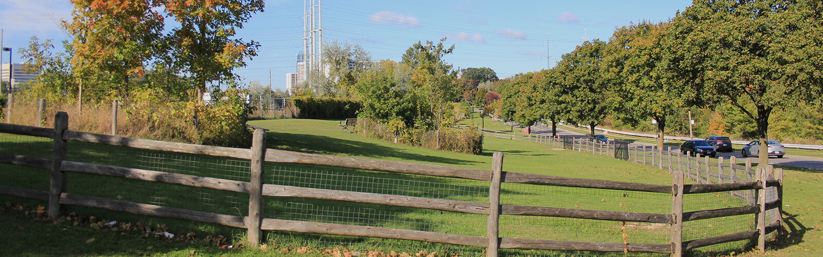 Wood and chain-link fence surrounds the Linkwood Lane Park off-leash dog area. To the right, a minor road with several cars driving along. In the background, a cell tower and a hydro field can be seen in the distance. Lush trees and greenery scattered throughout the area.