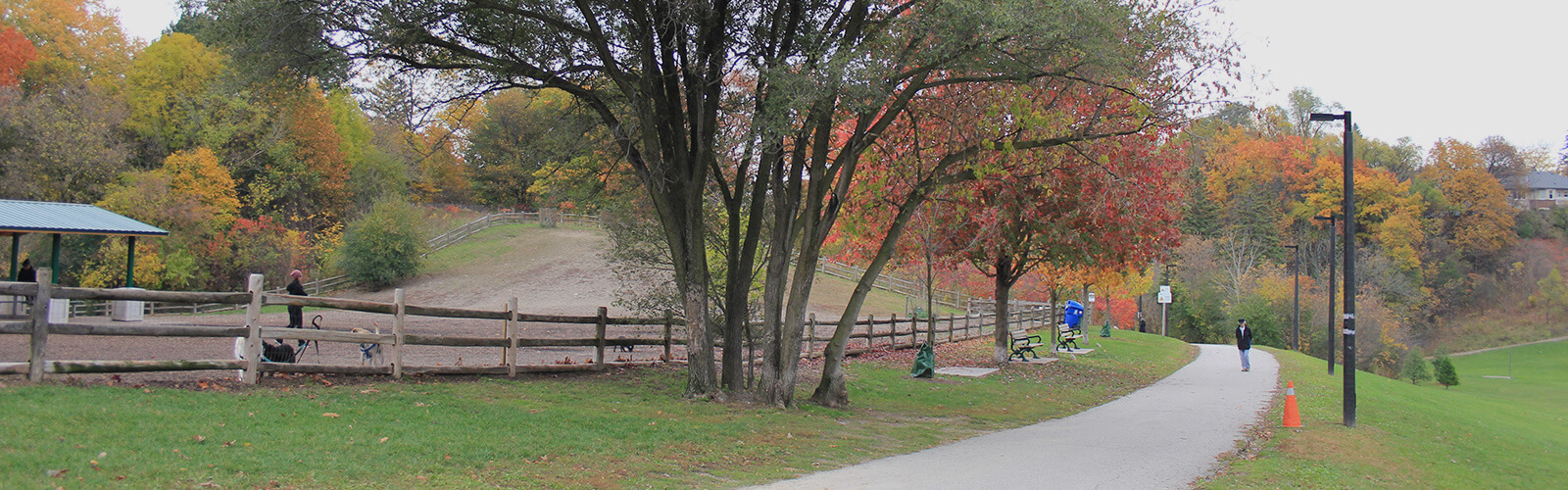 A paved path runs parallel to a dog park in the fall