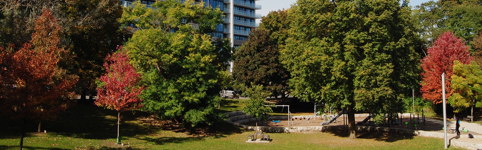 Children's playground surrounded by lush trees and park space. Condo building can be seen in the background behind the trees.