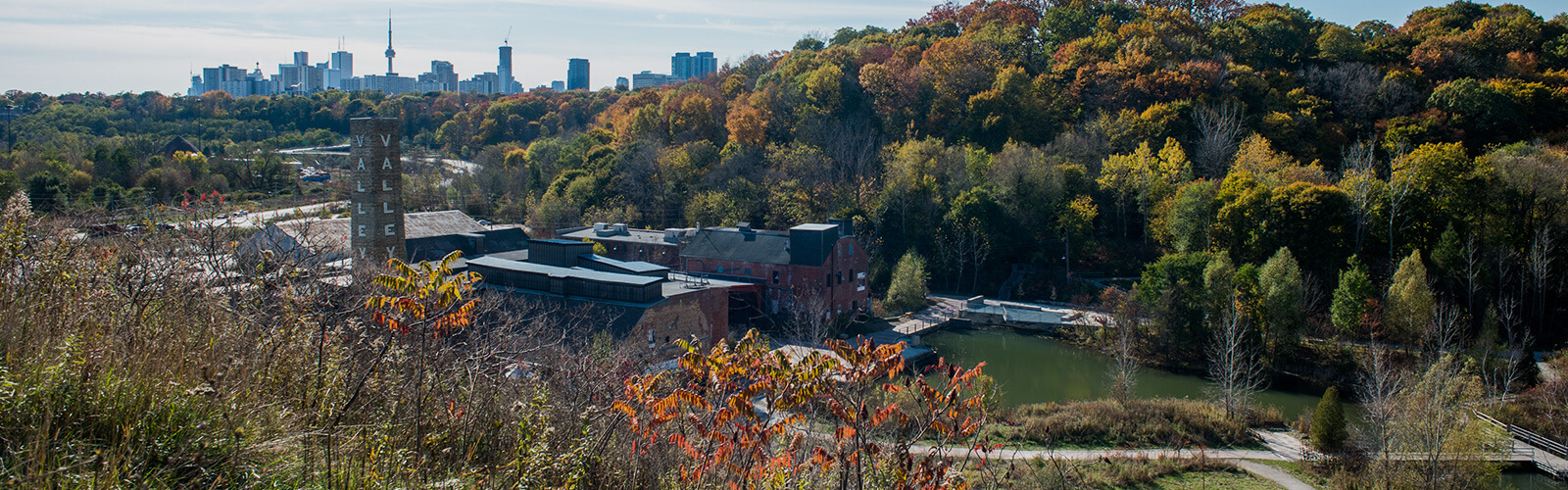 Looking down at the rear of Evergreen Brickworks from a hilltop which features ponds and paved paths. The shrubs and bushes on the hill are in the foreground. The lush forest on the other side of the valley are changing colours. In the background and to the left is the Toronto skyline poking over the tree line.