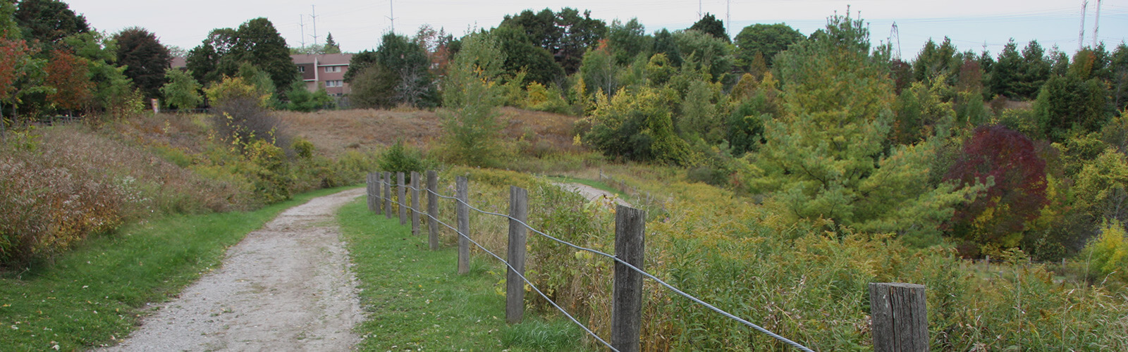 A wooden fence and gravel trail leading downhill