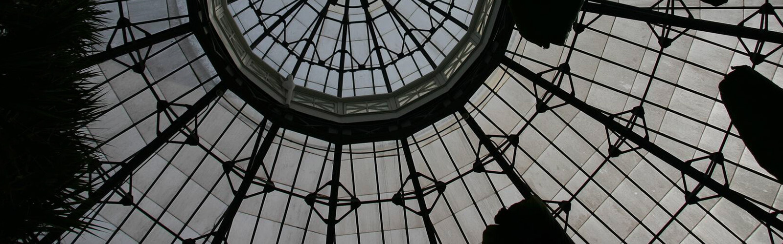 Looking up at the inside of the glass dome and cupola of Allan Gardens Conservatory. Plant leaves silhouetted on the left.
