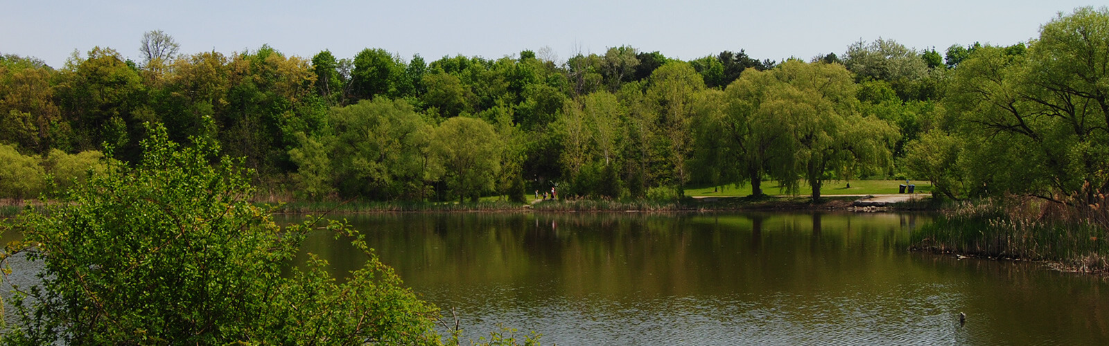 Topham Pond during a sunny day