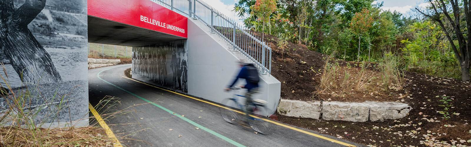 Cyclist speeds past along a paved bike trail that runs through the Bellville underpass. The underpass features black and white murals both on the outside and in the tunnel. Either side of the trail is freshly mulched and features shrubs and lush young trees.