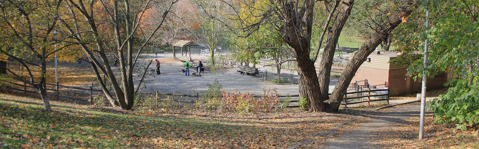 Taken from top of a hill, looking down at an off-leash dog park, enclosed with a wood fence where several people stand with their dogs. Fall leaves cover the ground. Some of the trees are bare, others still have green folliage and others in the background still have brightly coloured leaves. A paved path descends down the hill from the foreground.