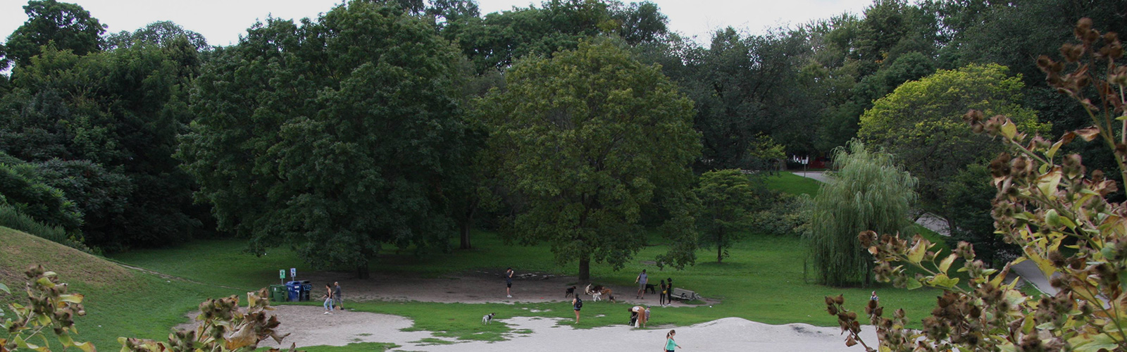 Taken from top of hilll in Trinity Bellwoods Park overlooking the "dogbowl", an off-leash dog park. Numerous people are walking and standing around while dogs play and run around. Area is surrounded by lush trees and other greenery.