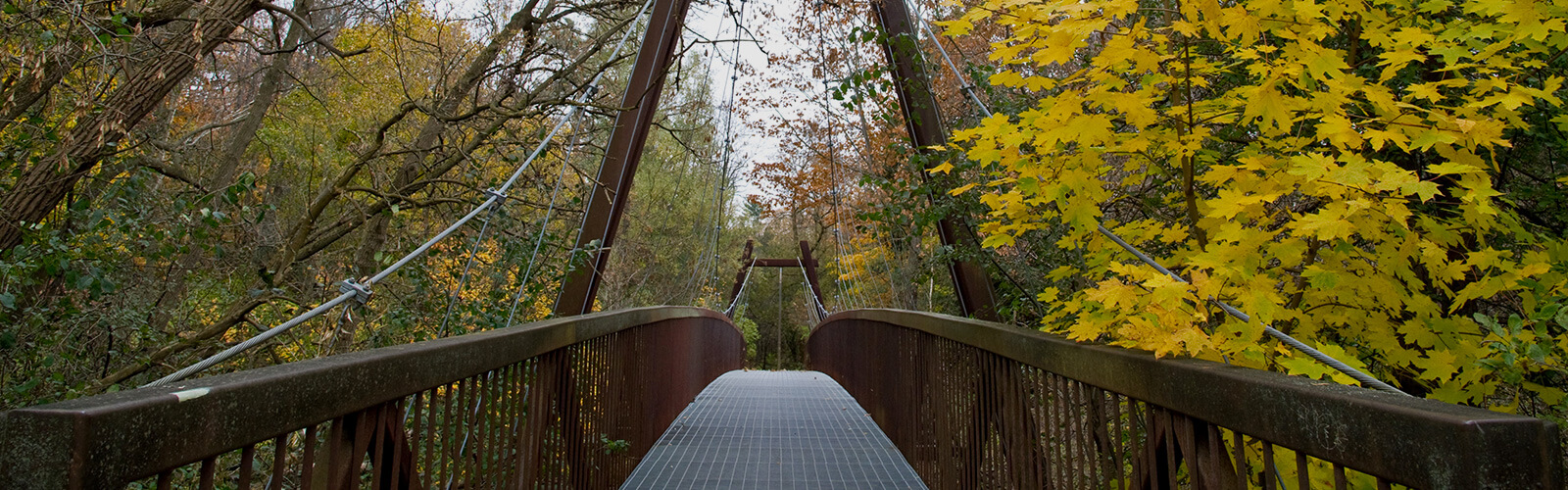 Suspension pedestrian bridge leads from the foreground into the background, surrounded by lush forest fall trees on either side.