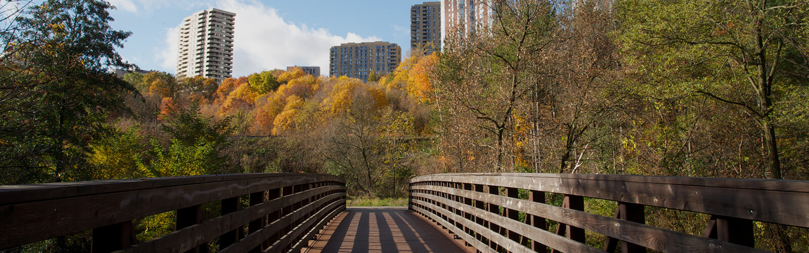 A wood pedestrian bridge crossed from the foreground toward a forested area with fall trees. Several apartment buildings in the background look down on the valley.