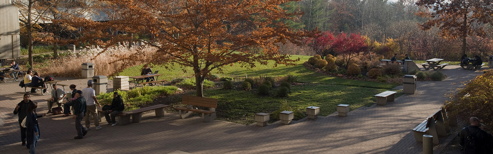 A cobblestone area with people sitting at picnic tables and park benches. Lush fall trees and bushes surround the area.