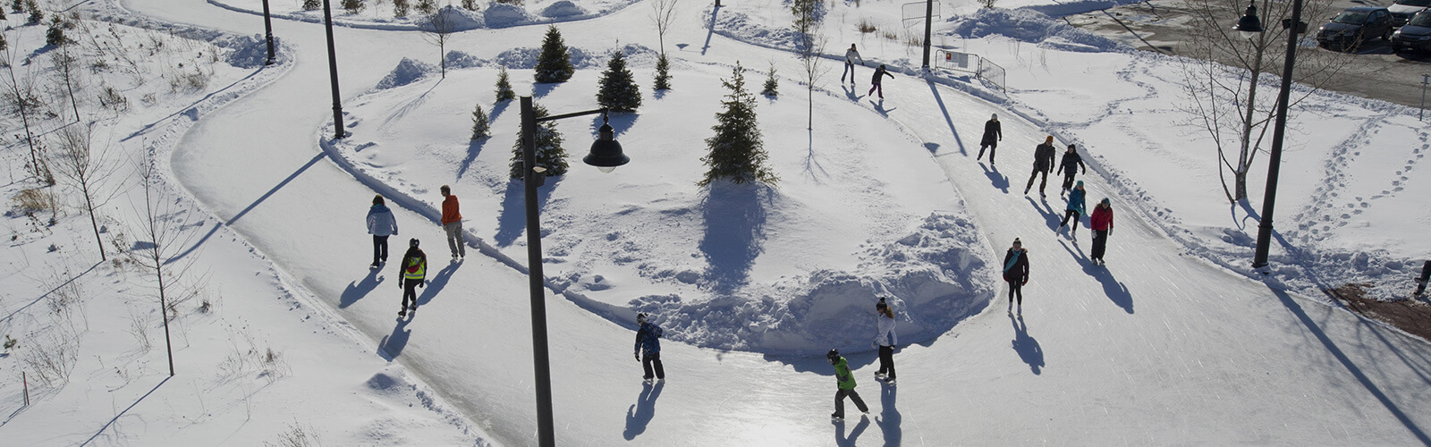 A winter scene with people ice skating along a figure-8 skating trail. Snow covers the ground. Several small evergreen trees sit in the middle of the lower half of the skating trail.