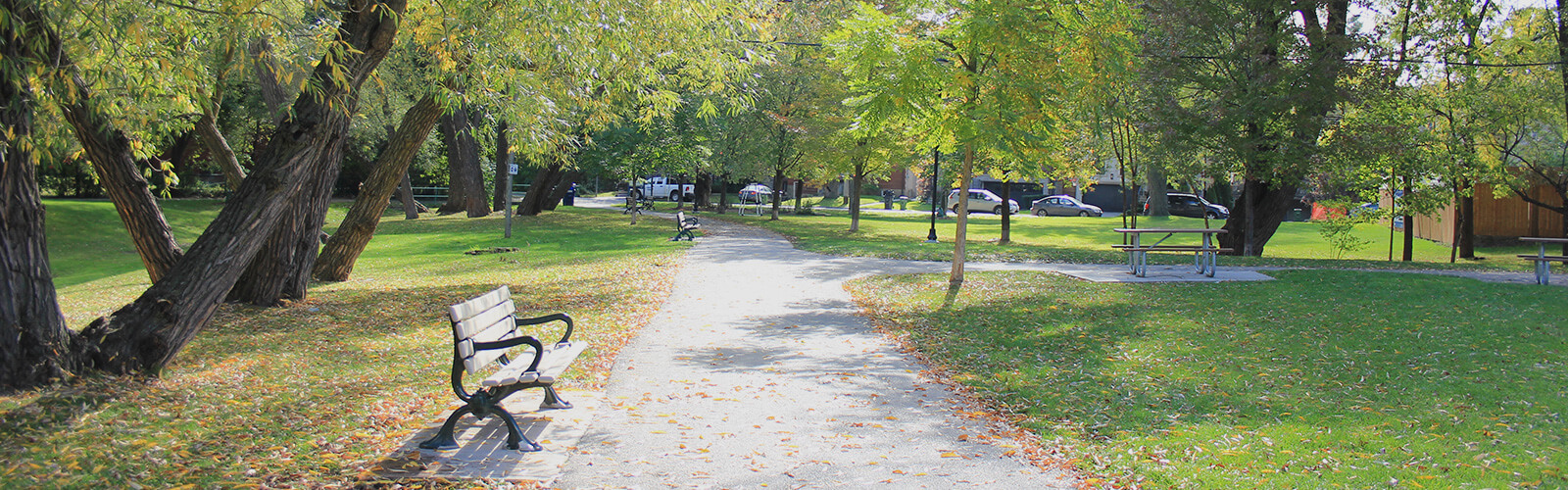 Paved pathway through a park on a sunny day